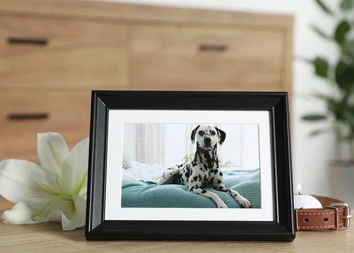 A framed photo of a Dalmatian with a white lily and a candle nearby on a wooden table.